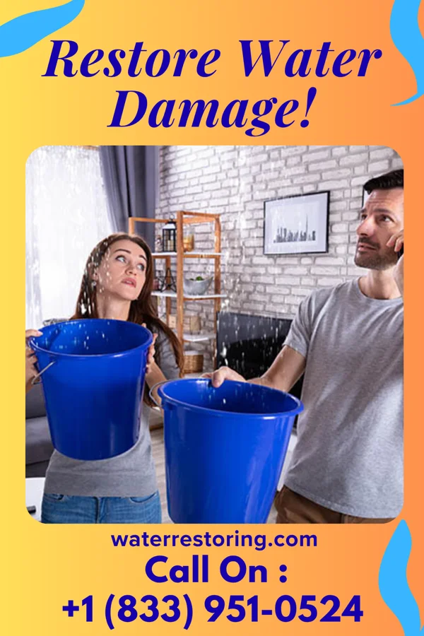 water restoration Direct Sewage Cleanup & Sons Delia