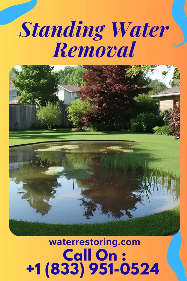 Standing Water Removal in Delia, KS